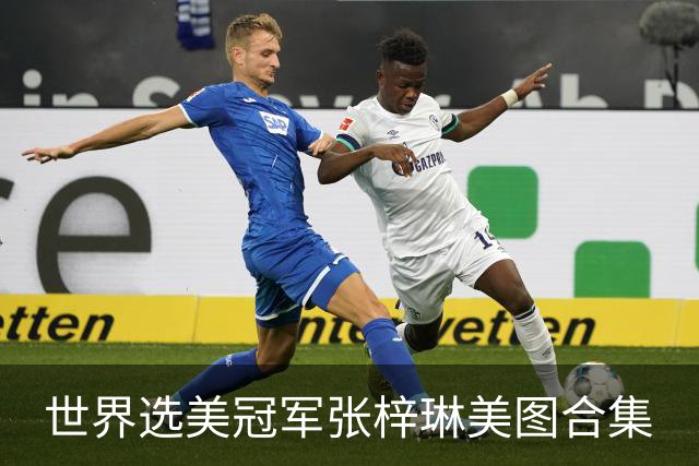 世界选美冠军张梓琳美图合集