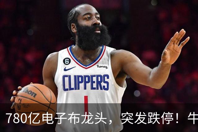 780亿电子布龙头，突发跌停！牛散葛卫东定增浮亏超6000万元，公司回应！